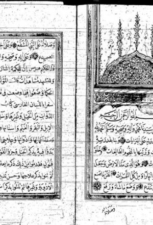 مخطوطة - كتاب فى البيطرة مترجم من الفارسية