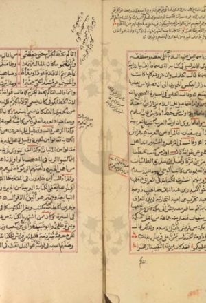 مخطوطة - المطالع النصرية للمطابع المصرية فى الاصول الخطية للشيخ نصر الهوريني