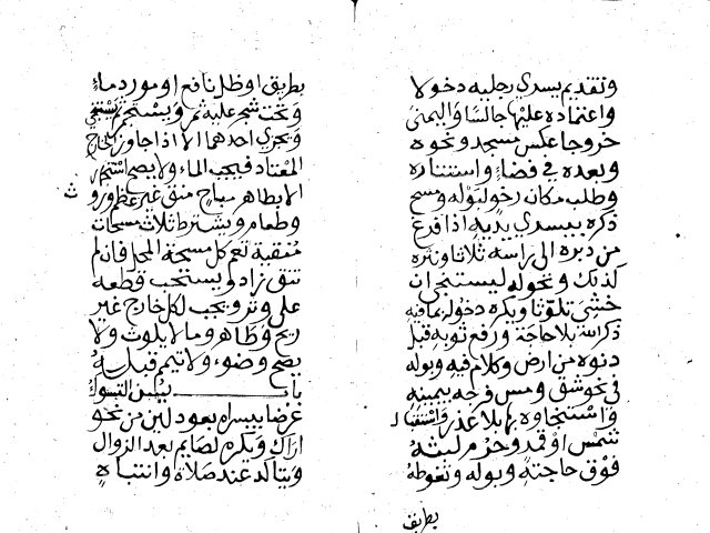 مخطوطة - عمدة الطالب - دار الكتب المصرية