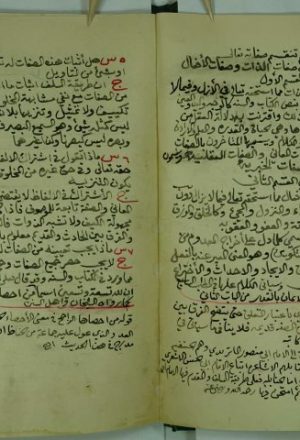 مخطوطة - مالابد منه في امور الدين على طريقة السلف الصالح ومذهب الامام احمد بن حنبل   Makhtotah 731