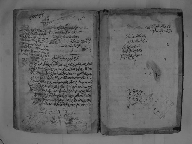 مخطوطة - الإصلاح في شرح شرح ديباجة المصباح لبير محمد بن يوسف