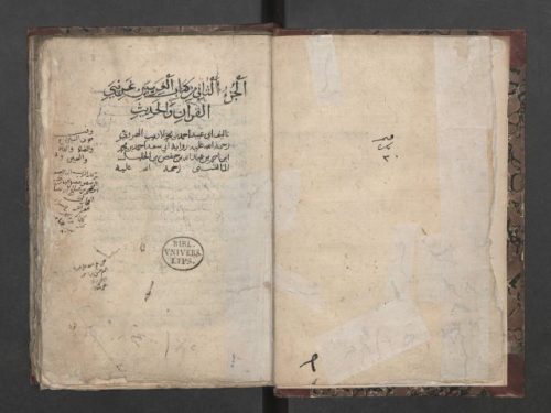 مخطوطة - الغريبين في القرآن والحديث