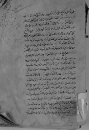 مخطوطة - حاشية على شرح الفاكهي على قطر الندى للبيتوشي