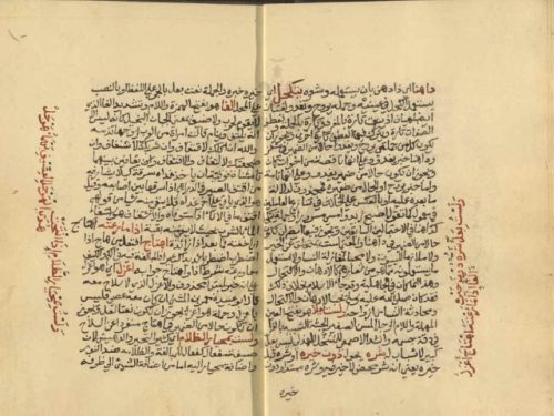 مخطوطة - نهاية الارب فى شرح لامية العرب للأزهري
