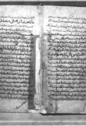 مخطوطة - ابن ماجه طه