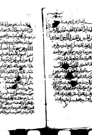 مخطوطة - أربعون حديثا عن أربعين شيخا في أربعين معنى و فضيلة - ابن المقرب الكرخي-ma3na
