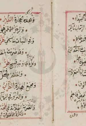 مخطوطة - أرجوزة في الفرق بين الظاء والضاد لمحمد بن محمود
