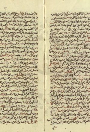 مخطوطة - اغاثة الملهوف الى مسألة الملفوف لحسين بن محمد الشافعى