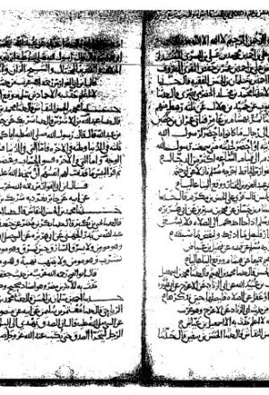 مخطوطة - الأربعون من الفوائد الصحاح لأبي الحسن البسري
