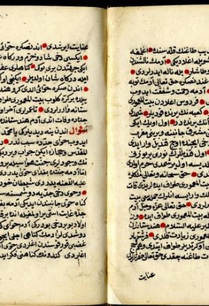 مخطوطة - الأربعين مسئلة ( باللغة التركية ) - المؤلف لم يعرف - 10-214