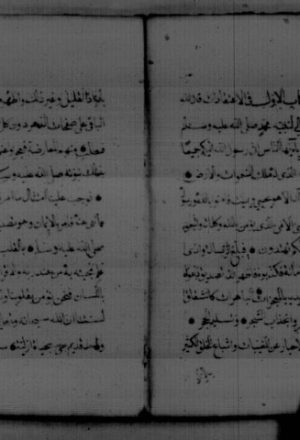 مخطوطة - الإرشاد لأكمل الدين البابرتي 9073
