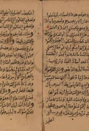 مخطوطة - الأزهية فى أحكام الأدعية للزركشي