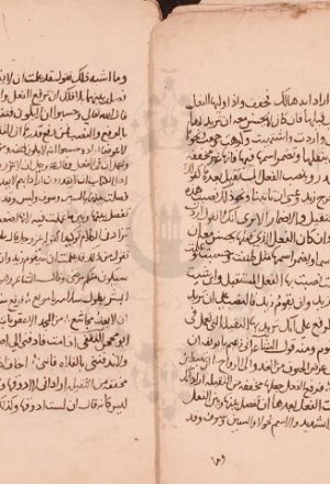 مخطوطة - الازهية فى النحو  -علي بن محمد الهروي--319162