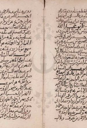 مخطوطة - الأسامي والكنى لأبي أحمد الحاكم