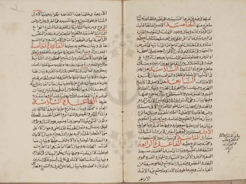 مخطوطة - الأشباه والنظائر في الفروع  لابن نجيم المصري