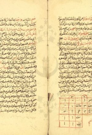 مخطوطة - الاغتباط لشرح الاحتياط لمحمد بن محمود بن عبدالحق الشافعى