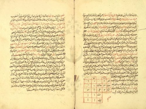 مخطوطة - الاغتباط لشرح الاحتياط لمحمد بن محمود بن عبدالحق الشافعى