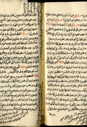 مخطوطة - الإفهام في شرح وقف حمزة وهشام