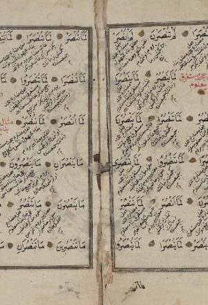 مخطوطة - الامثلة المختلفة في الصرف لمجهول 9 ورقات