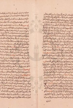 مخطوطة - الأنواع والتقاسيم المنسوب للحافظ ابن حبان البستي