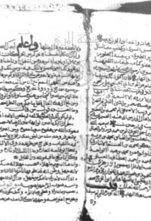 مخطوطة - الترجمان المفتح - أحمد ابن المظفر