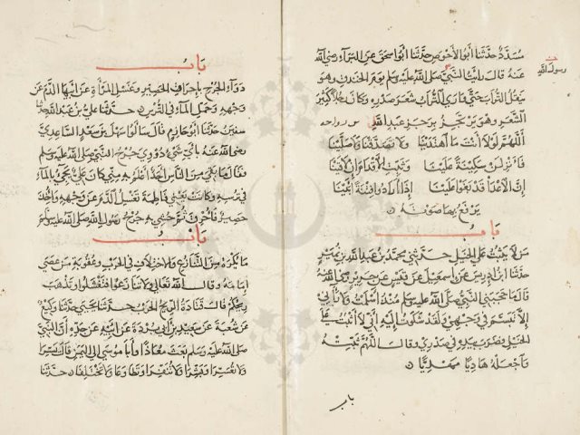 مخطوطة - الجامع الصحيح للبخارى  --301201