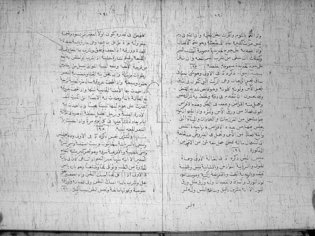 مخطوطة - الجامع لصفات اشتات النبتات الجزء الثانى