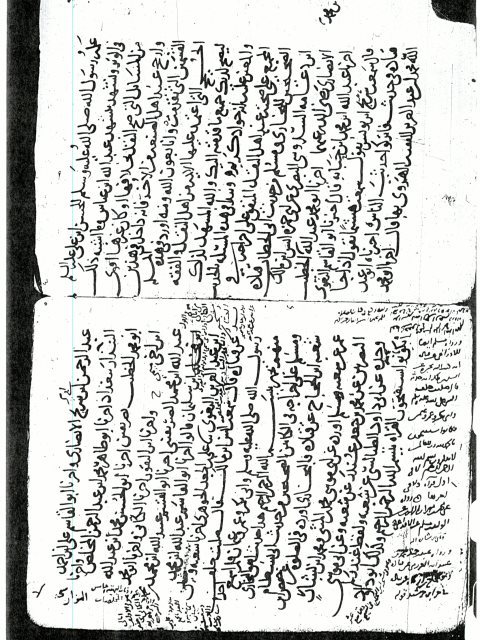 مخطوطة - التسمية ـ لأبي طاهر