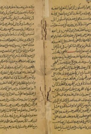 مخطوطة - الحاوي جملا من الفتاوي للحميري التونسي المالكي