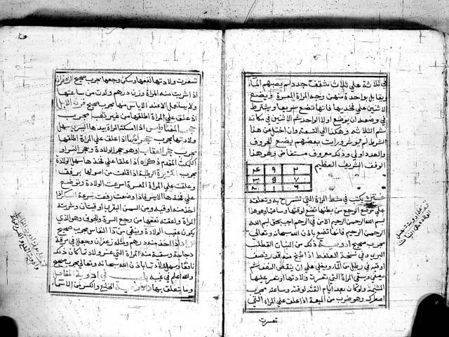 مخطوطة - الدرة المنتخبة فى الادوية المجربة