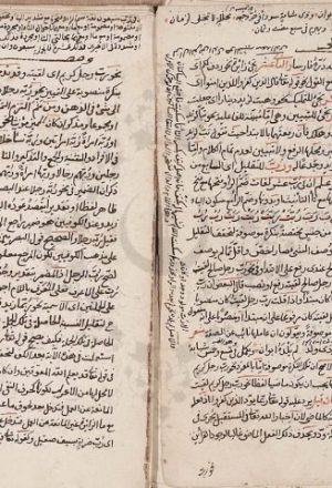مخطوطة - الدرر المصطفوية في شرح العوامل النحوية-غير معروف - 317812
