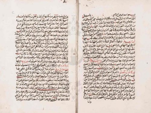مخطوطة - الدرر في إعراب أوائل السور -عمر بن أحمد الحمل-316570