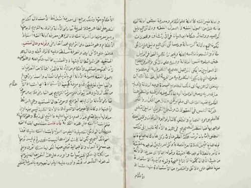 مخطوطة - الروض الازهر فى حدود مشاهير علوم الجامع الازهر   -الزرقاني