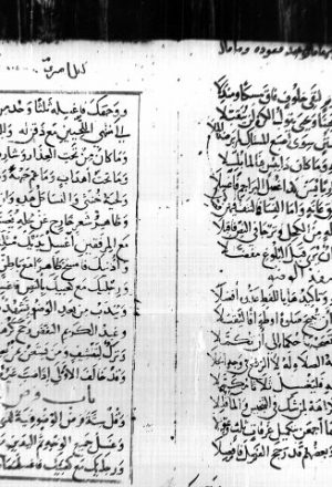 مخطوطة - الروض النضير في نظم التنبيه  لابن بيليك المحسني