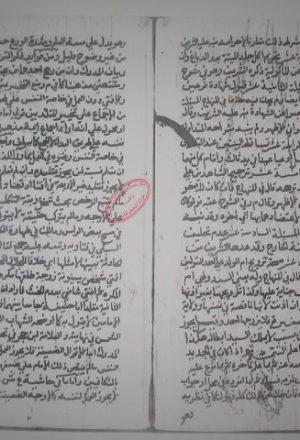 مخطوطة - الروض الوسيم  لمحمد الجوهري الرقم 169
