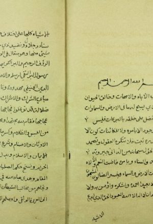 مخطوطة - الرياض فى الحكم