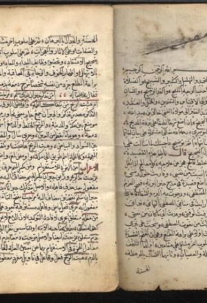 مخطوطة - الزبدة في شرح قصيدة البردة لخالد الأزهري 9953