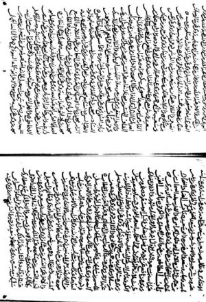 مخطوطة - الزيادات في المعجم في مشتبه أسامي المحدثين طه