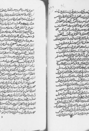 مخطوطة - الزيادات في المعجم في مشتبه أسامي المحدثين