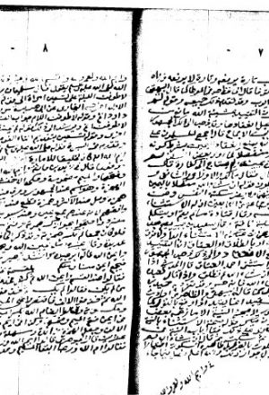 مخطوطة - السسال الرحيق الاصفى بتخريج أحاديث النبي المصطفى - ج6