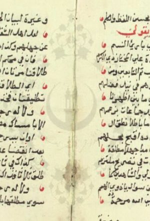مخطوطة - السيف الصقيل فى عنق من يرد المطلقة ثلاثا لزوجها من غير تحليل للصاوي المالكي