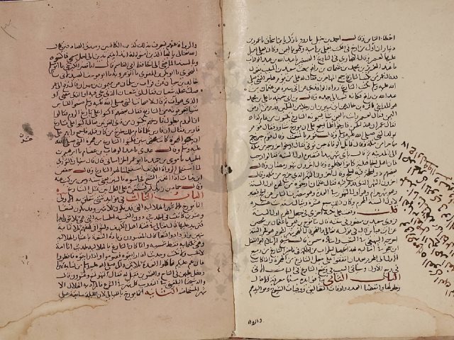 مخطوطة - الشماريخ فى علم التاريخ  --316609