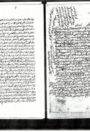 مخطوطة - كتاب تحفة ذوي الأرب في مشكل الأسماء والنسب