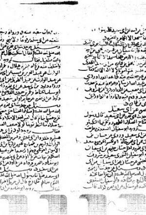 مخطوطة - العلل الواردة في الاحاديث - ج4
