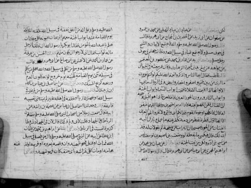 مخطوطة - الفروسية والبيطرة لابى حازم