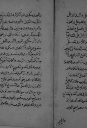 مخطوطة - الفصول - أبو حنيفة