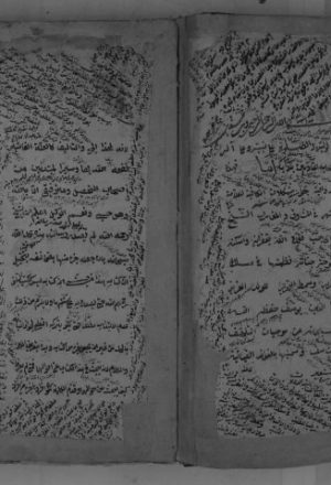 مخطوطة - الفوائد الضيائية - عبد الرحمن الحامي