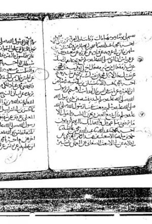 مخطوطة - الفوائد الغرائب الحسان من حديث أبي بكر الأبهري