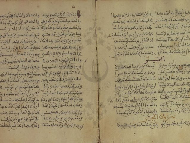 مخطوطة - ألفية ابن مالك - ابن مالك -307434