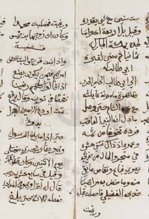 مخطوطة - ألفية العراقي-نسخة 1